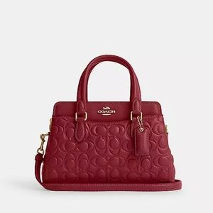 New! Mini Darcie Carryall with Signature Leather in Gold/Cherry 🍒🌸